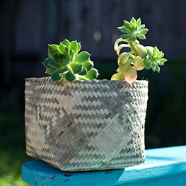 Palm Leaf Basket From Mexico