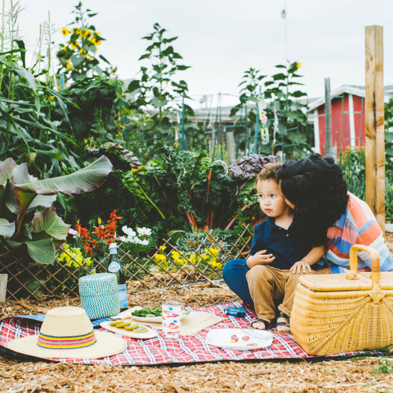 globein picnic outdoors