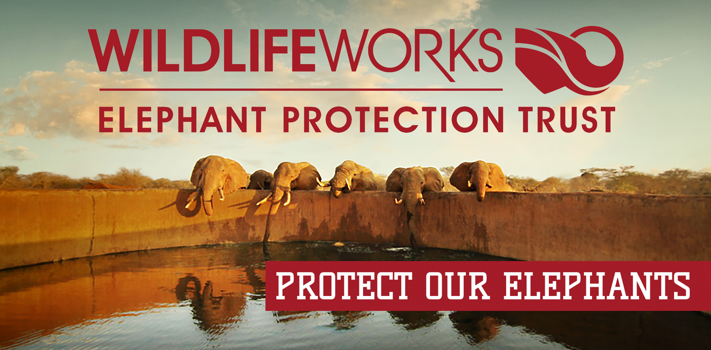 protect our elephants