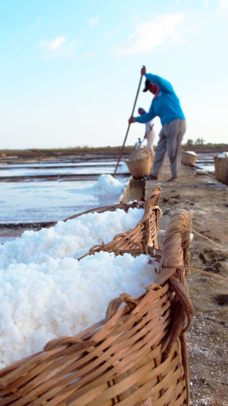 Why You Need Real Sea Salt GlobeIn Blog